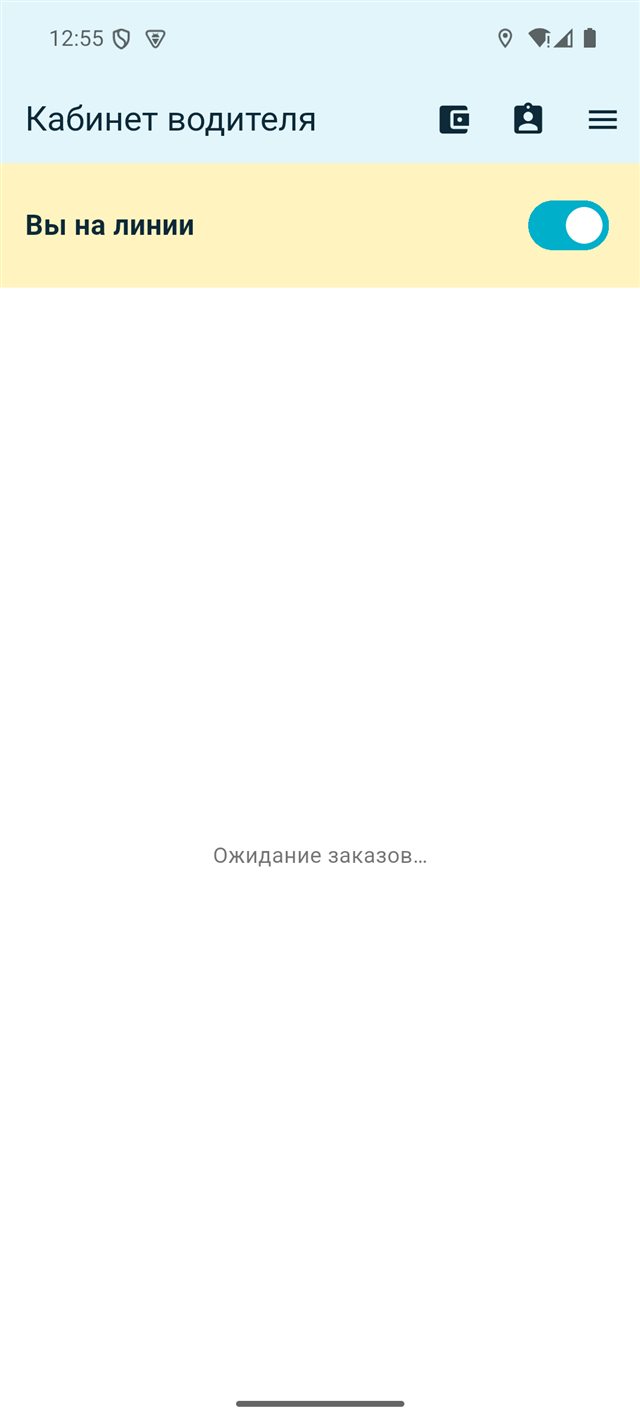 Жүргізушінің желіге шығу экраны